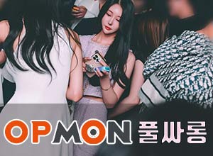 초원의집하드코어-아이유